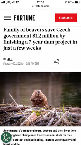 GmzhpWwWQAEK65u.jpg