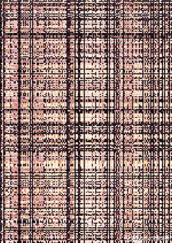 F95A31C98A8CA8033BF6E43A720187D5.jpg