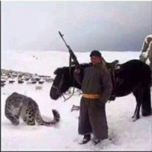benscr69.jpg