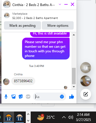 Cinthia.png