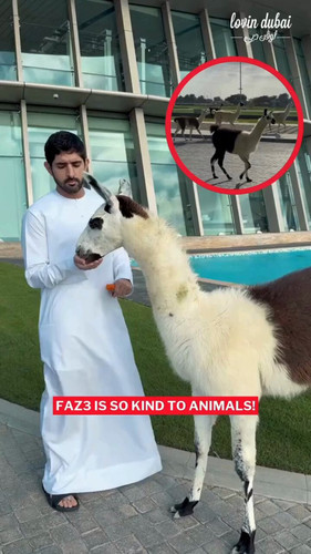 bAtLzPXLmd 51Uvd.jpg