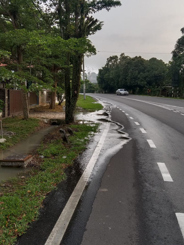 WhatsApp Image 2025 03 27 at 7.50.33 AM.jpg