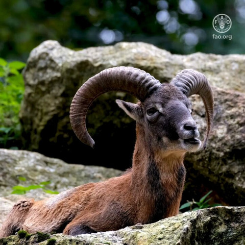 5xGINOmU xscsn1c.jpg