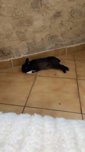 32162C0C 1EB4 4032 BA2A 6DA20619F51E.jpg