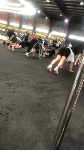 GIF 20250327083423323.gif