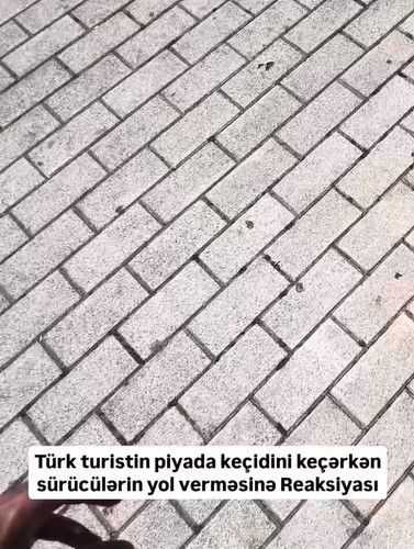 Y6nDpiS1cT E7hv5.jpg