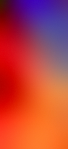 IMG 1355.png