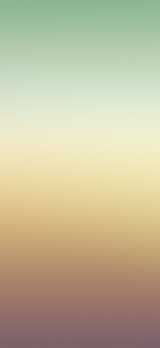 IMG 1264.png