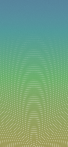 IMG 1364.png
