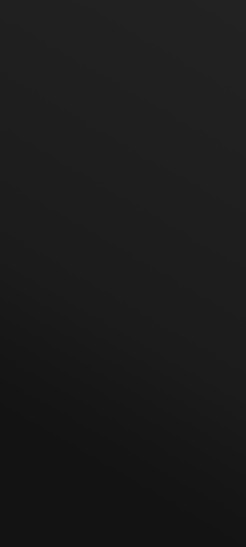 242424.png