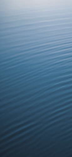IMG 1401.png