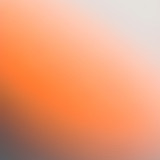 IMG 3323