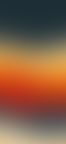 IMG 2955.png