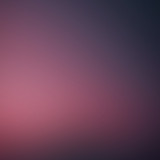 IMG 3318