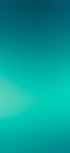 IMG 3561.png