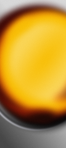 GD 250325 01.png