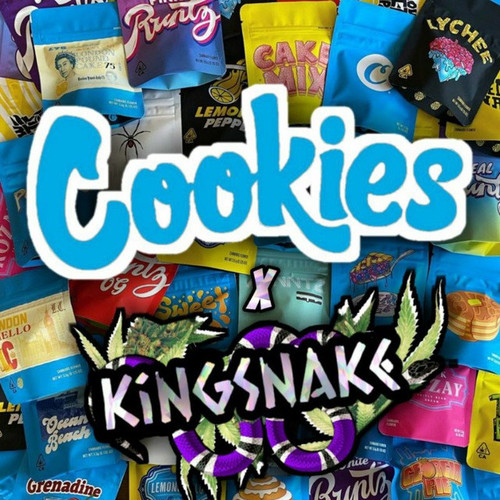CooKies Israel KingSnake.jpg