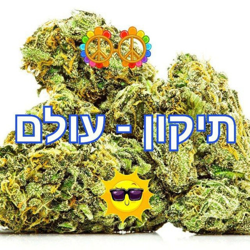 Tikun Olam Secirty.jpg