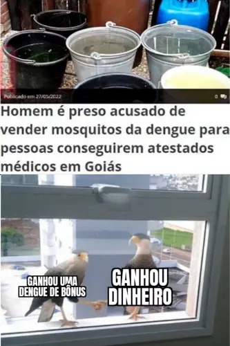 67e30fa16c0d2.webp