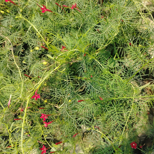 IMG 20250316 112225.jpg