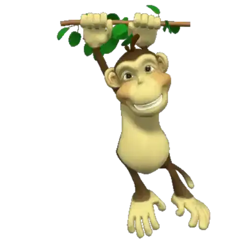 image.webp