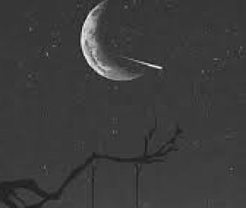 images%2Fimage 1742960423928.jpg