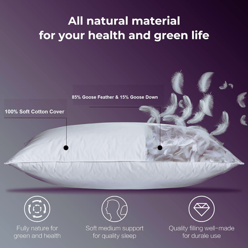 Untitled design (34).png