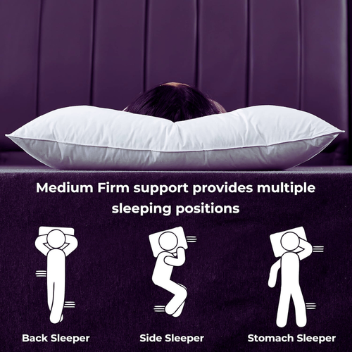 Untitled design (36).png