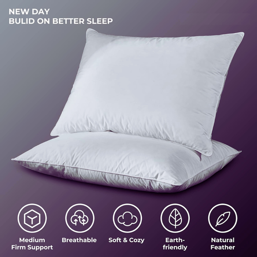 Untitled design (35).png