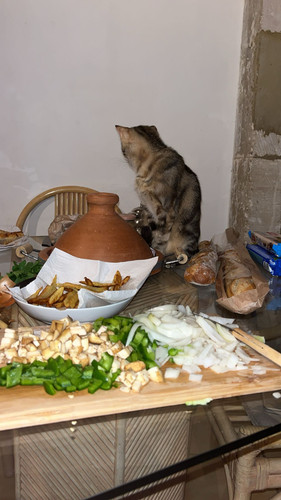 IMG 4563.jpg