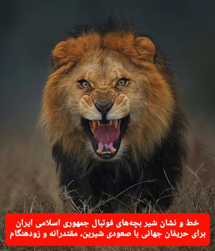 Gm7OmMHWIAEnrzF.jpg