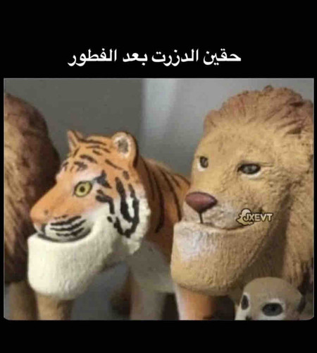 7DE1B656 CE6C 4E49 AF16 70227A43CFF0.jpg