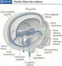 a648c3dba0f8.jpg