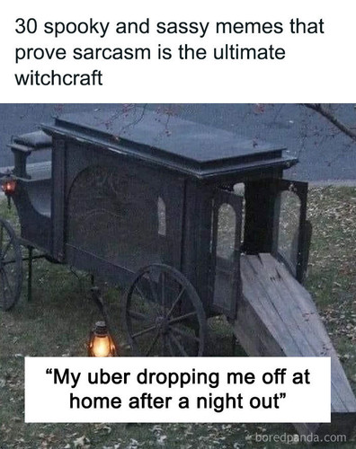 sarcastic witchy spooky jokes coverimage2.jpg