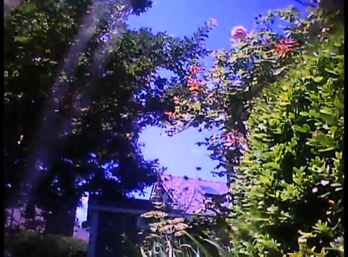 vlcsnap 2025 03 25 19h44m33s480.png