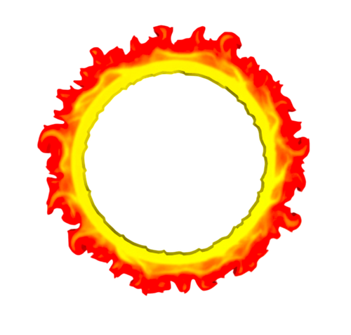 Photoroom 20250119 124053.png