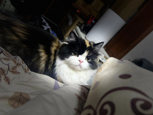 D9371D15 1784 4F76 A246 216524E17C41.jpg