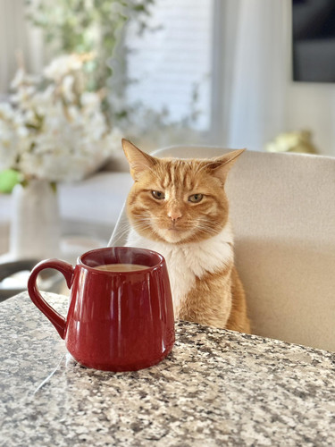 485946039 651144861178807 4225047300075361613 n.jpg