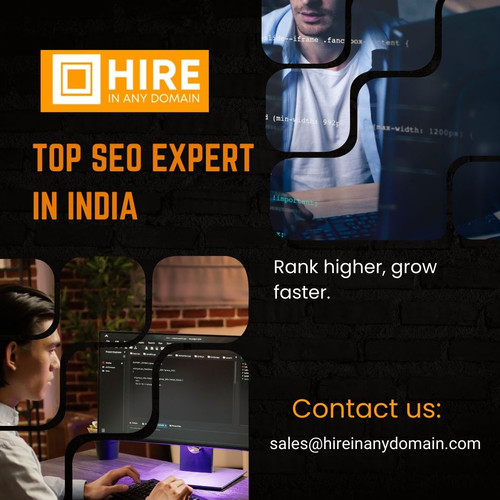 Top SEO Expert in India.jpg