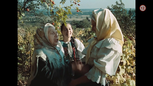 Cervene.vino.D1.1976.SK.1080p.WEB DL.SK.AAC2.0.H.264 RgN.mkv snapshot 00.21.18 [2025.03.25 11.38.32].jpg