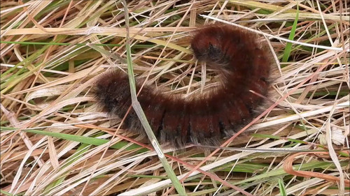 6KcAPFJdS df2mgt.jpg