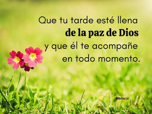 que tu tarde este llena de la paz de dios y que el te acompane en todo momento.jpg