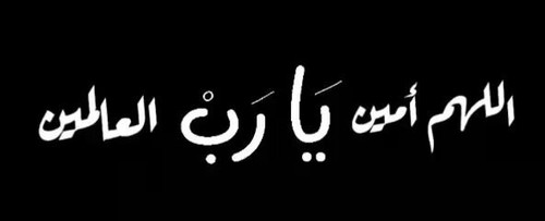 l85MfWFP9Gh lYDz.jpg