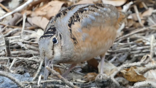 3NyEnyT LXKxkTLd.jpg