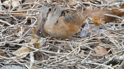 EmSA9z1aPHTJNE A.jpg