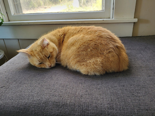 487327513 10238327858798296 2361412808450970802 n.jpg