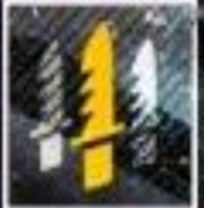 1742999744626.jpg