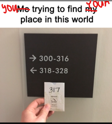 meme1.png