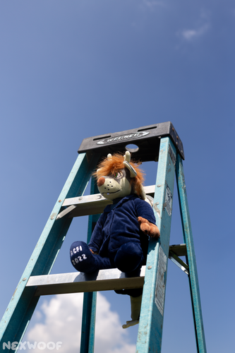 IMG 20250326 060912 749.png