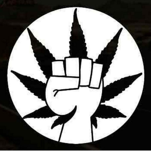 weedweed1230.jpg